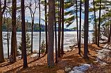 Lakeside Pines_05983